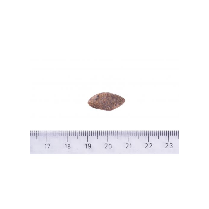 Brit Care DOG Sustainable Sensitive