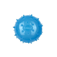 AnimAll Fun м'яч шипований з пищалкою