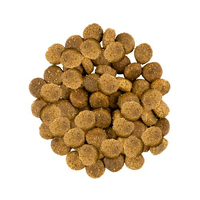 Savory Medium Breed rich in Fresh Turkey and Lamb