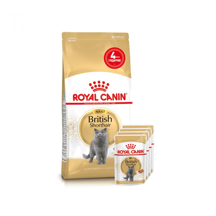 Royal Canin CAT British Shorthair Adult для котів породи британська короткошерста