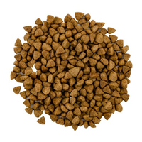 Savory CAT Steril Fresh Lamb and Chicken