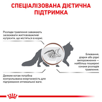Royal Canin CAT Gastrointestinal Fibre Response для котів при порушеннях травлення 0,4кг