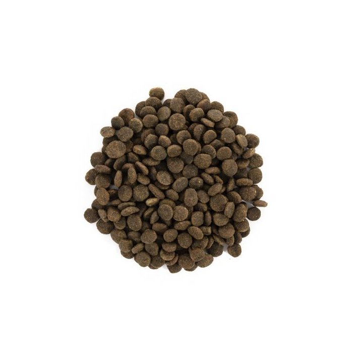 Сухий Корм Brit Care Cat GF Sterilized Sensitive