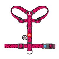 Шлея для собак анатомічна Н-подібна, WAUDOG Nylon з QR-паспортом , малюнок Кавун, пластиковий фастекс, М, Ш 20мм, А 40-70, В 50-80 5561 Collar