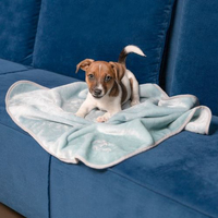 Плед Pet Fashion Bliss м'ята для собак та цуценят 77х100см