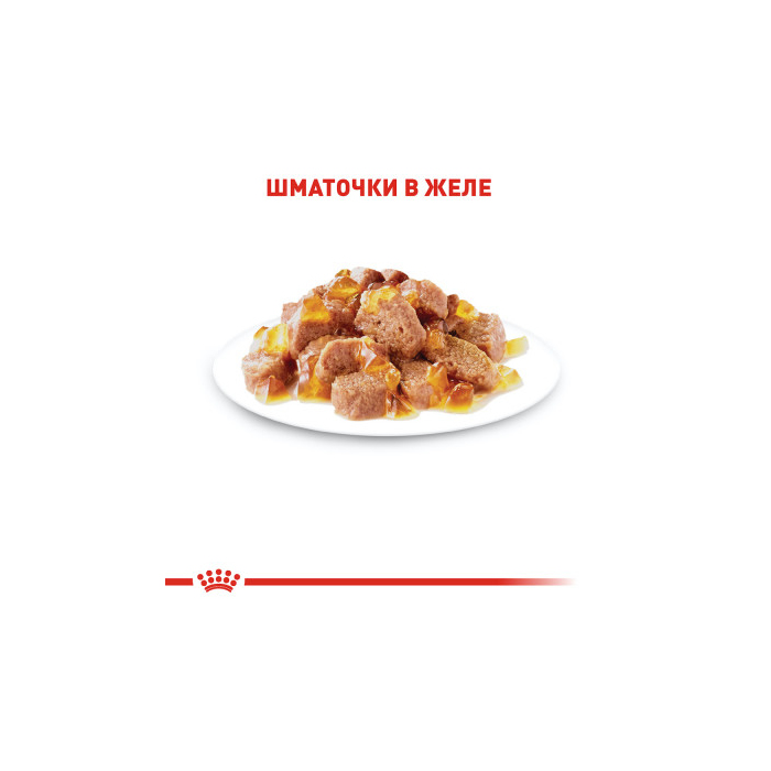 Royal Canin Intense Beauty Care wet in jelly 9+3 вологий корм, шматочки в желе, для підтримання здоров’я шкіри та краси шерсті, пауч 85г*12шт 11485 Royal Canin