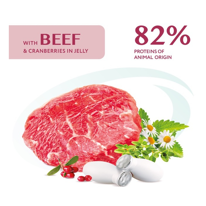 Optimeal Salmon & Blueberries cream sauce для собак з лососем та лохиною в крем соусі