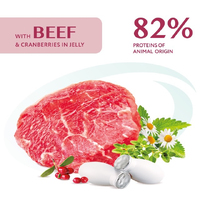 Optimeal Salmon & Blueberries cream sauce для собак з лососем та лохиною в крем соусі