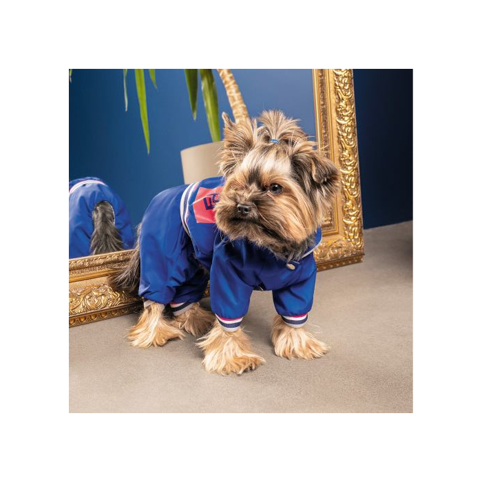 Дощовик Pet Fashion «Silver» для собак, розмір XS-2, синій PR242991 Pet Feshion