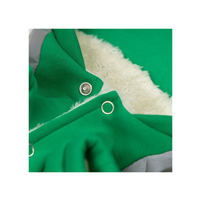 Костюм Pet Fashion Leaf зелений для собак розмір XS2