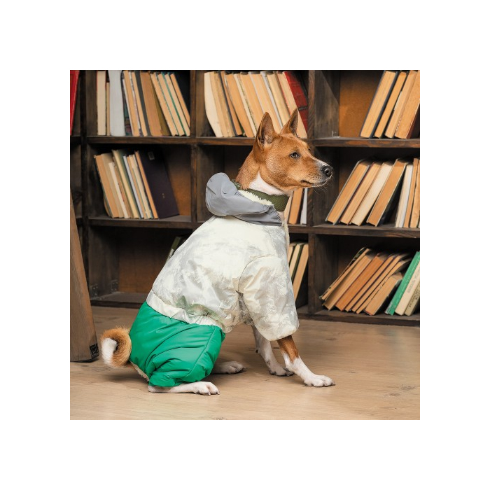 Костюм Pet Fashion Man для собак, розмір XXS, зелений