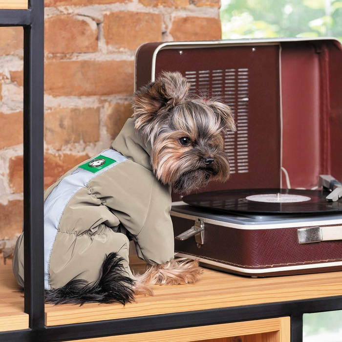 Комбінезон Pet Fashion Ego для собак, розмір S, бежевий