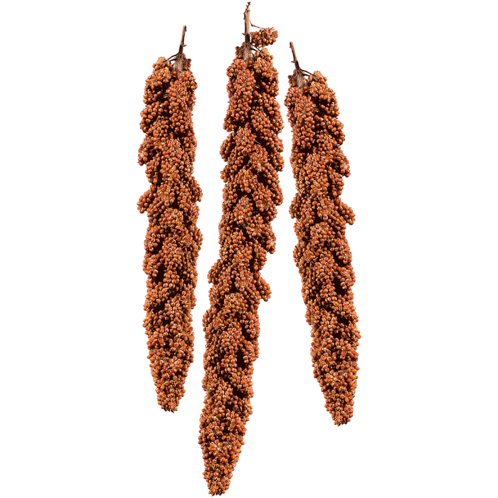 Vitakraft VITA Nature Red Foxtail Millet ласощі для папуг чуміза