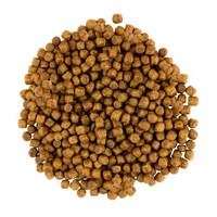 Savory CAT Kitten Chicken With Fresh Turkey для кошенят з індичкою та куркою 8кг