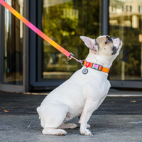 Нашийник для собак з нейлону WAUDOG Nylon Recycled c QR паспортом, градієнт, L, Ш 25 мм, Дов 33-49 см помаранчевий 46534 Collar