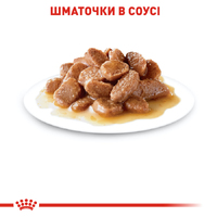 Royal Canin CAT Pouch Instinctive In Gravy вологий корм для котів шматочків в соусі