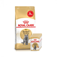 Royal Canin CAT British Shorthair Adult для котів породи британська короткошерста
