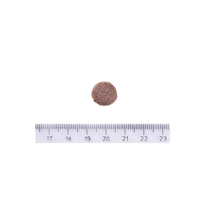 Brit Care DOG Sustainable Adult Medium Breed 