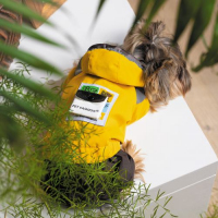 Дощовик Pet Fashion «Elsa» для дівчаток,розмір XS,жовтий