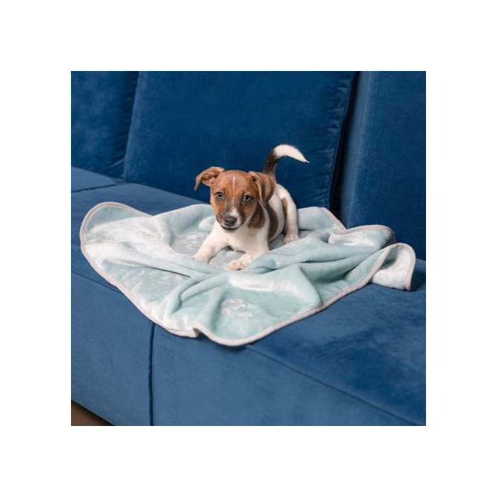 Плед Pet Fashion Bliss м'ята для собак та цуценят 77х100см