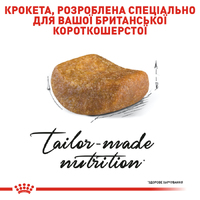 Royal Canin CAT British Shorthair Adult для котів породи британська короткошерста