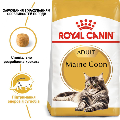 Royal Canin Maine Coon Adult