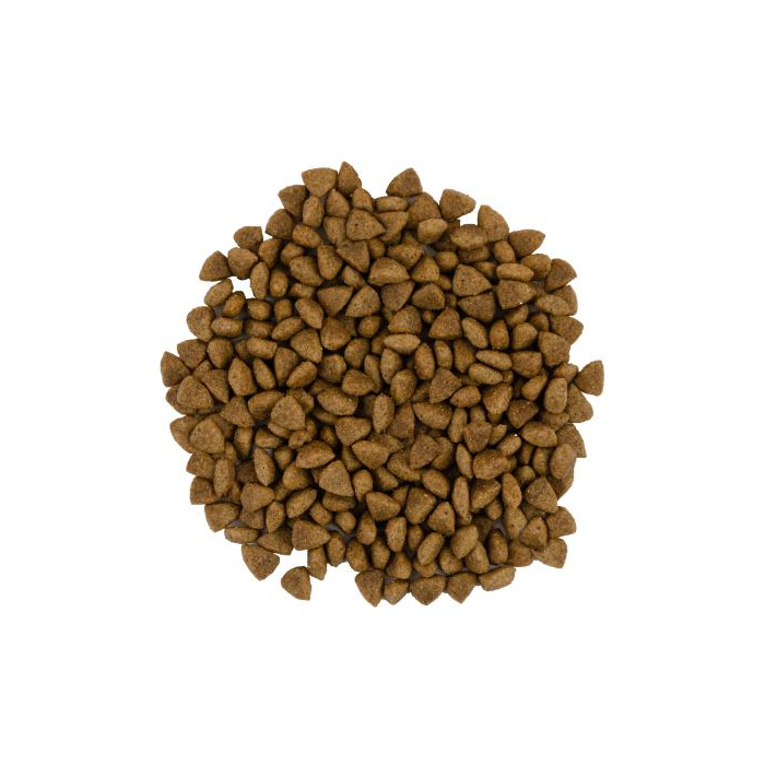 Savory CAT Sensitive Digestion Fresh Lamb and Turkey ягня та індичка 0,4 кг