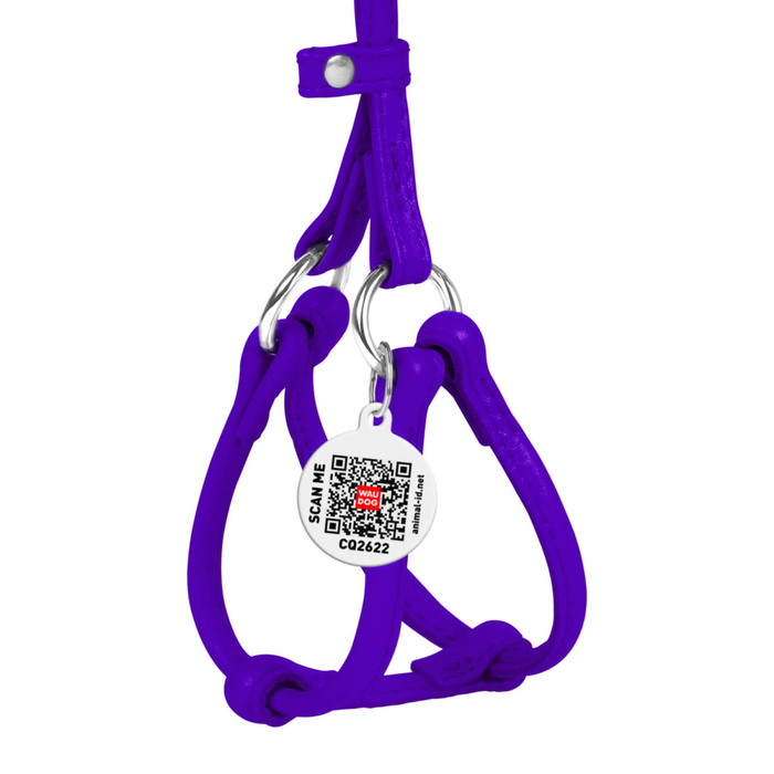 Шлея з повідцем для собак шкіряна Waudog glamur з qr паспортом кругла , Д 6 мм, А 26-46 см, В 30-50 см фіолетовий 34019 Collar